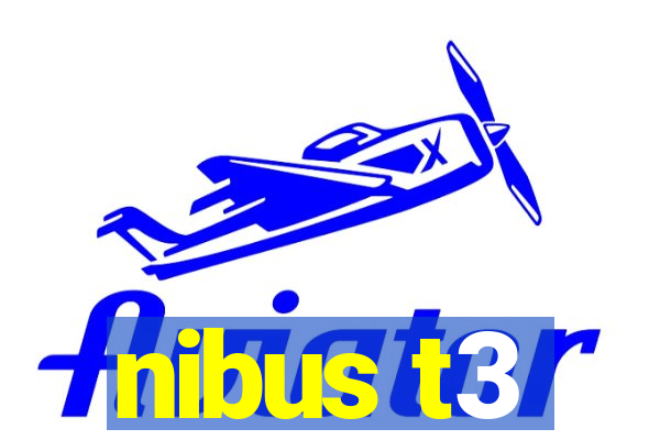 nibus t3